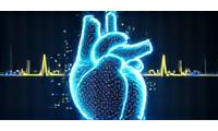 Un cuore stilizzato con circuiti digitali, che fonde biologia e tecnologia.